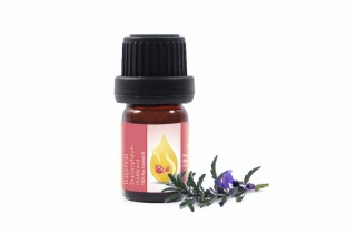Moldavian Dragonhead - 100% pure and natural essential oil