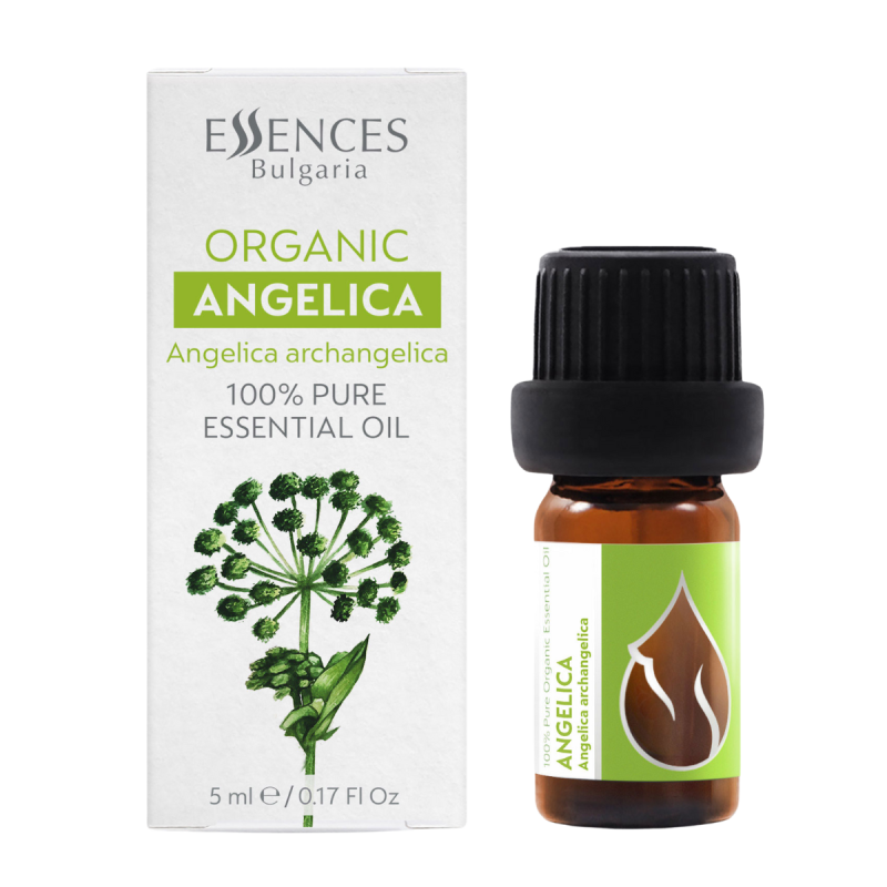 Organic Angelica - 100% pure and natural essential oil (5ml)