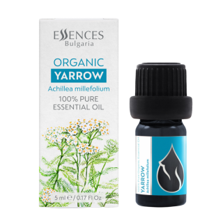Yarrow - 100% pure and natural essential oil  (Achillea millefolium)