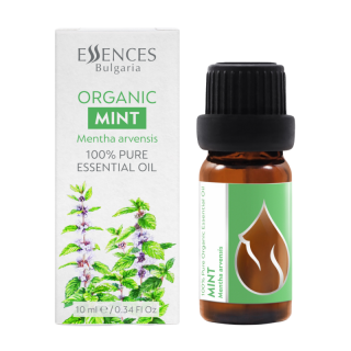 Organic Mint - 100% pure and natural essential oil (10ml)