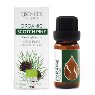 Organic Scotch Pine - 100% pure and natural essential oil (10ml)