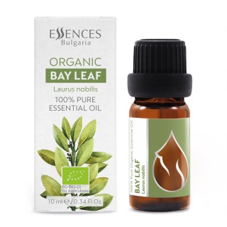 Organic Bay Leaf  - 100% pure and natural essential oil (10ml)