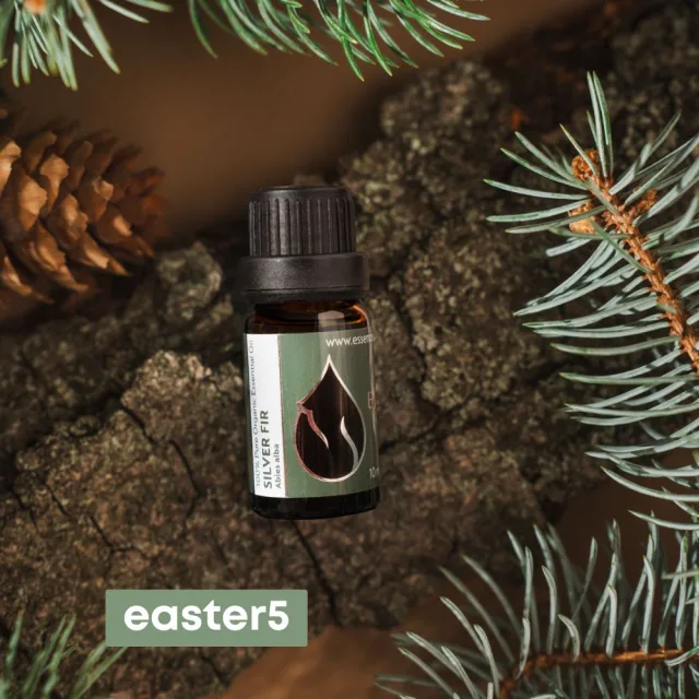 Bio silver fir easter5