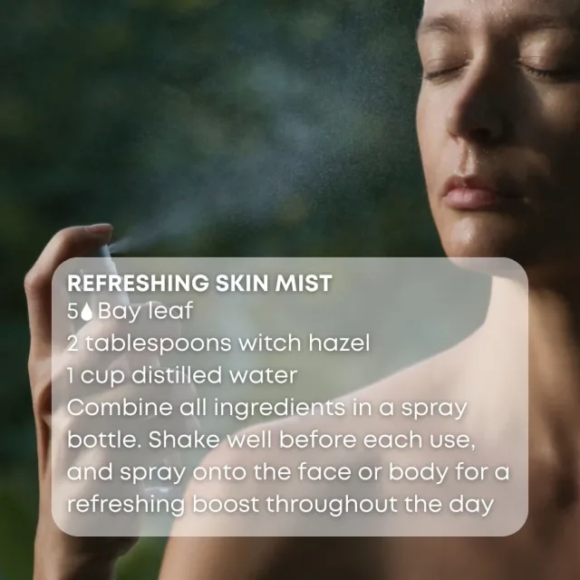 Essences bulgaria bay leaf essential oil skin mist