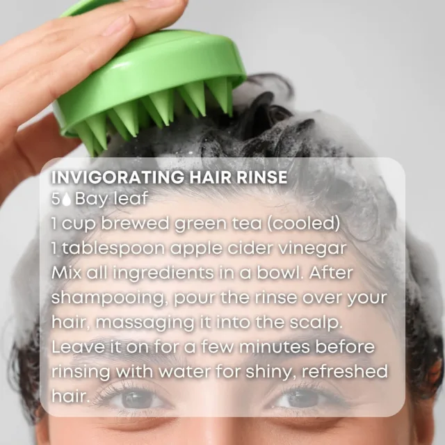 Essences bulgaria bay leaf essential oil hair rinse