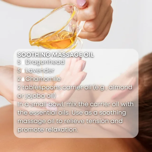 Essences bulgaria dragonhead essential oil massage oil