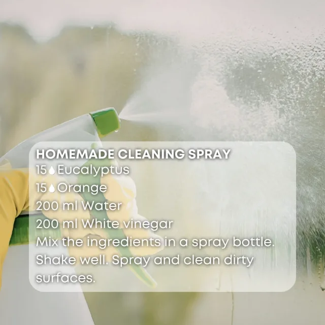 Essences bulgaria eucalyptus essential oil cleaning spray