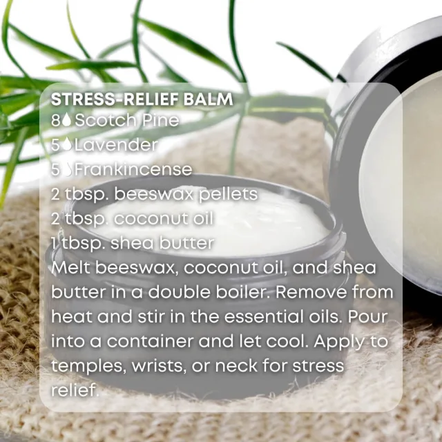 Essences bulgaria scotch pine essential oil stress relief balm