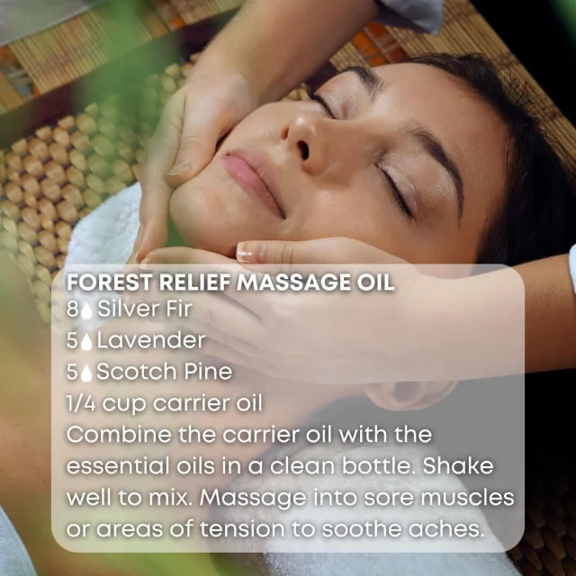 Essences bulgaria silver fir essential oil massage oil