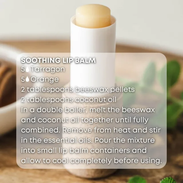 Essences bulgaria tarragon essential oil lip balm