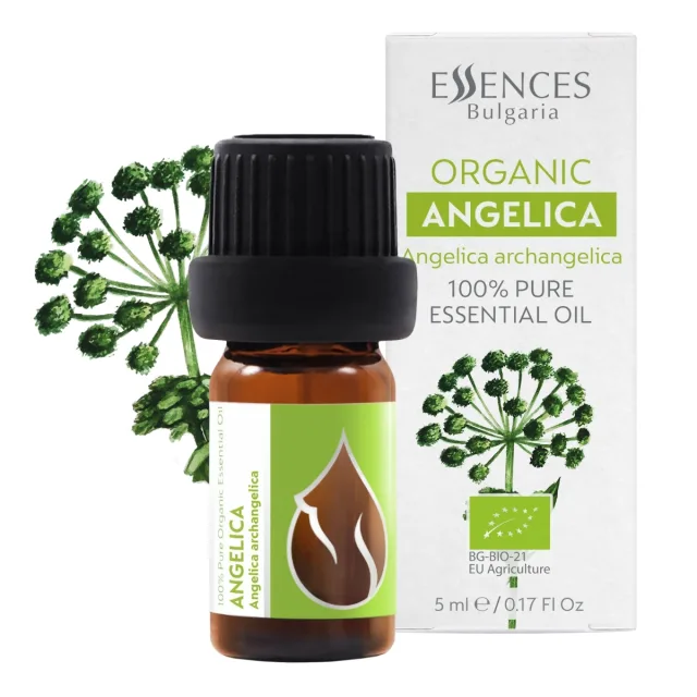 Organic Angelica Essential Oil