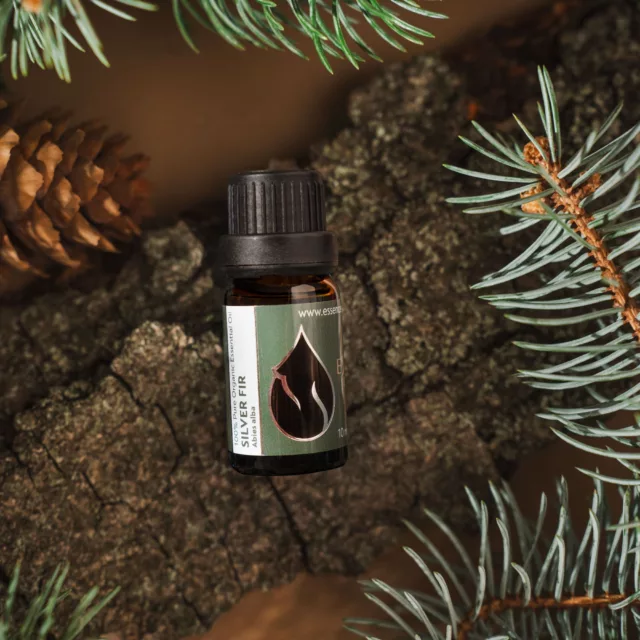 БИО Етерично масло Бяла ела 3