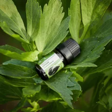 БИО Етерично масло Девесил 6