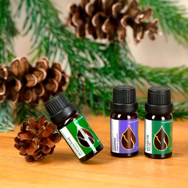 БИО Сет Горска магия 7