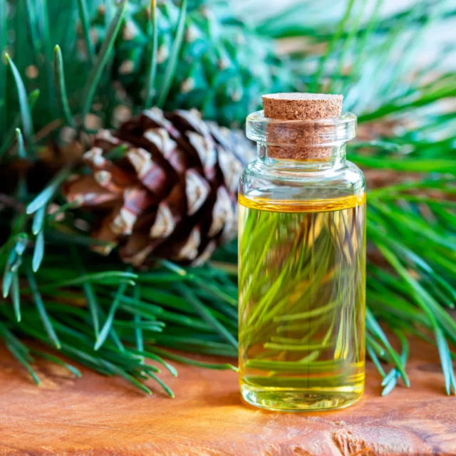 БИО Сет Горска магия 9