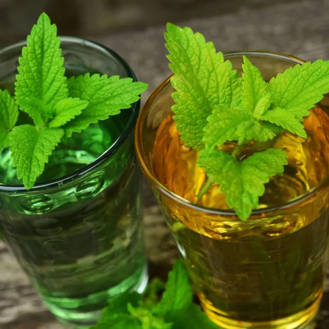 БИО Вода Маточина 4