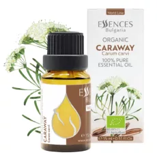 Caraway Essential Oil