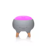 Aromatherapy Diffuser “Joy”
