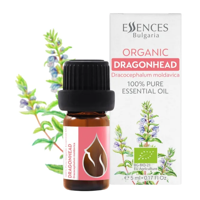 Organic Moldovan Dragonhead Essential Oil