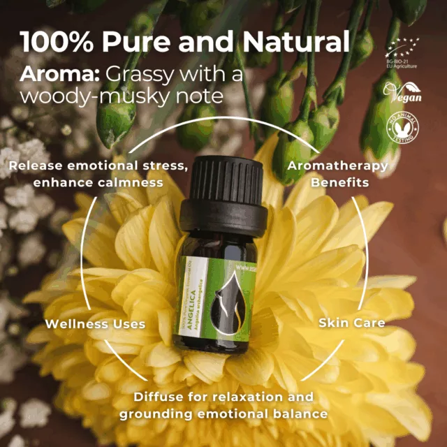 En angelica infographic 1