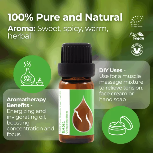 En basil infographic 1