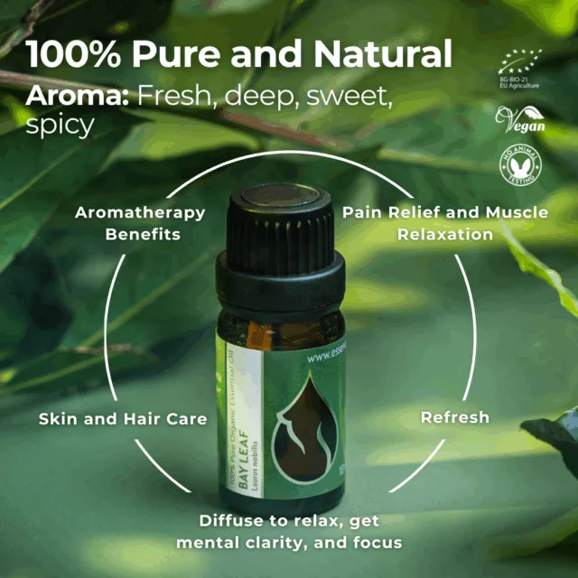 En bay leaf infographic 1