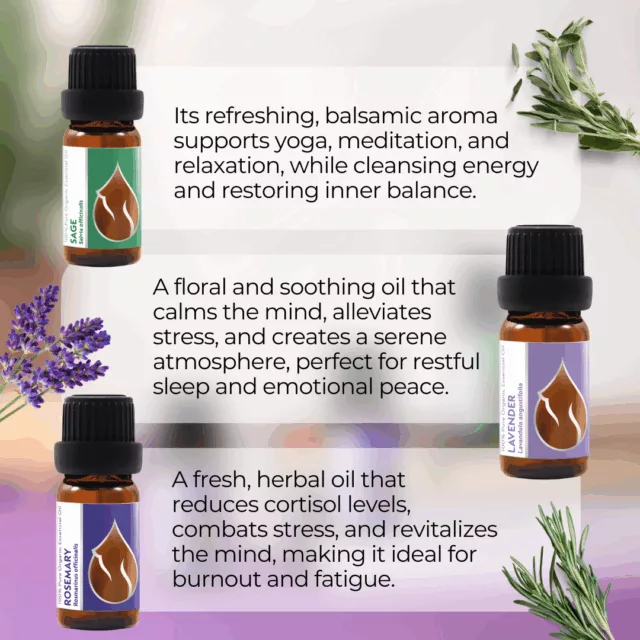 En bliss set infographic