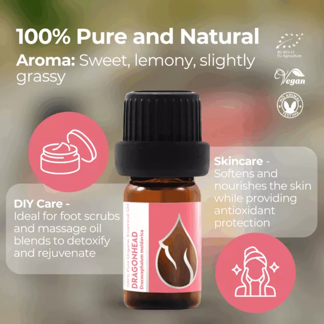 En dragonhead infographic 1