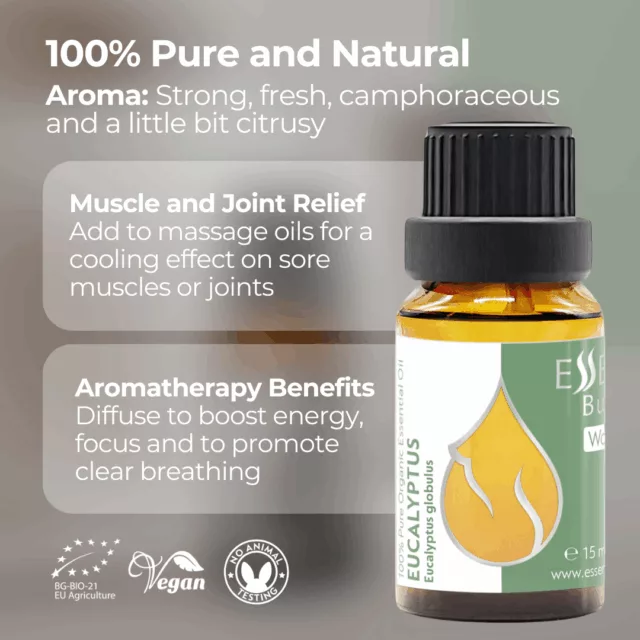 En eucalyptus infographic 2