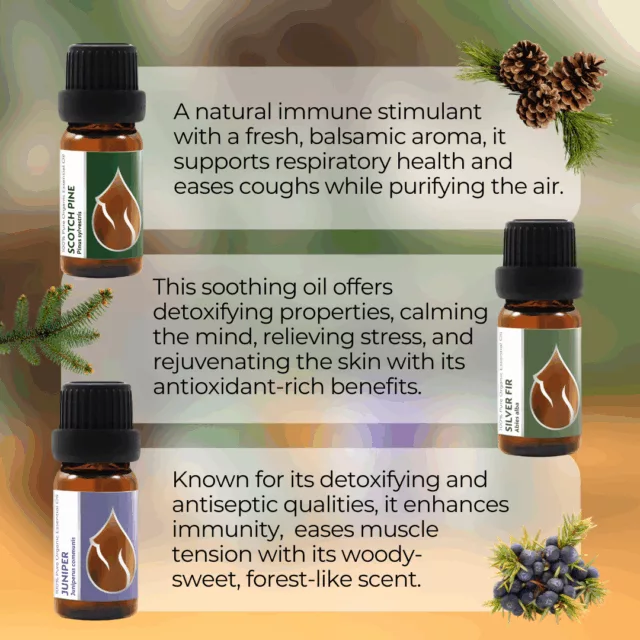 En forest magic set infographic 1