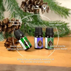 En forest magic set infographic 2