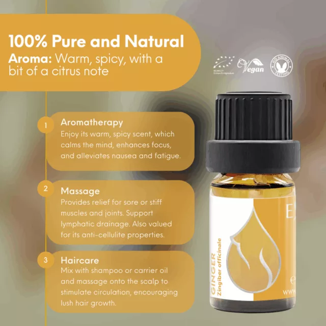 En ginger infographic 2