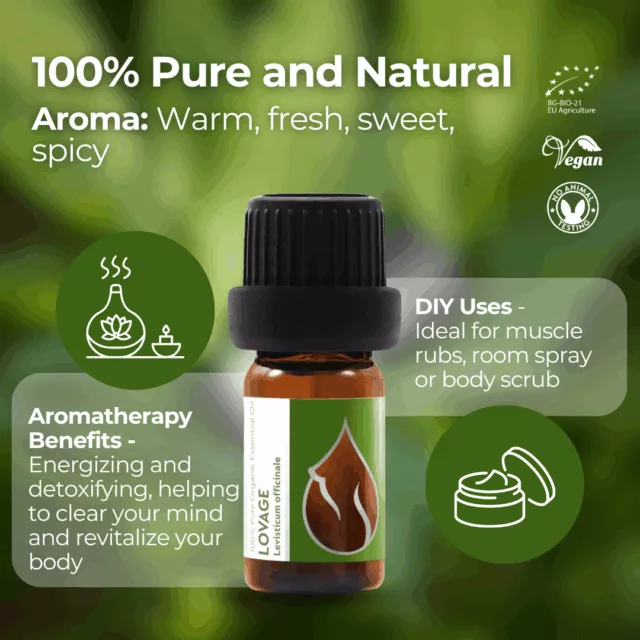 En lovage infographic 1