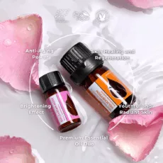 En luxury set infographic 4