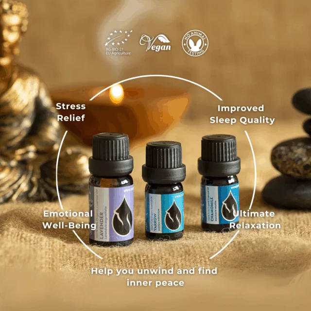 En relax set infographic 2