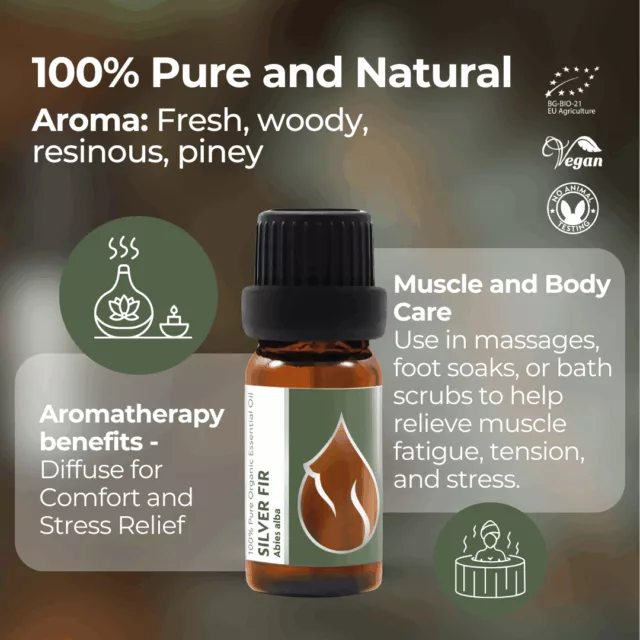 En silver fir infographic 1