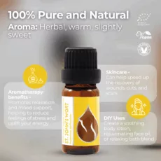 En st. john s wort infographic 1