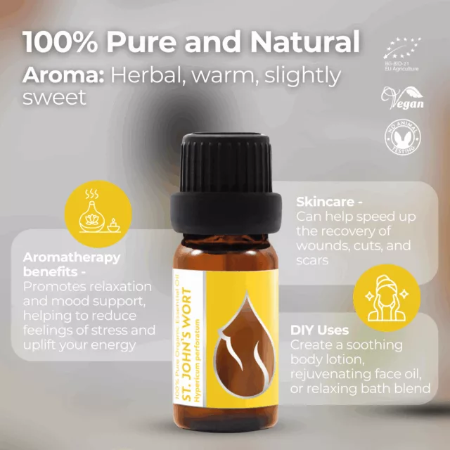 En st. john s wort infographic 1