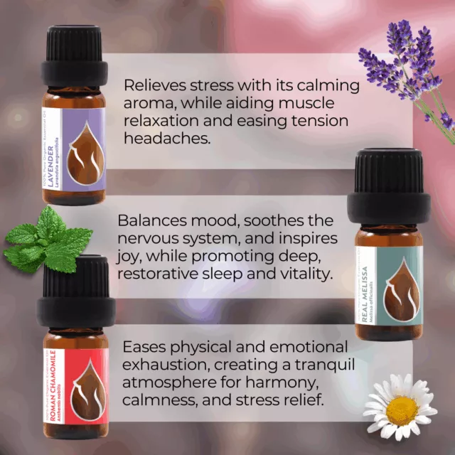 En sweet dreams set infographic 1