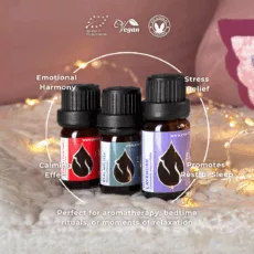 En sweet dreams set infographic 2