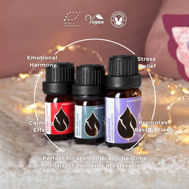 En sweet dreams set infographic 2