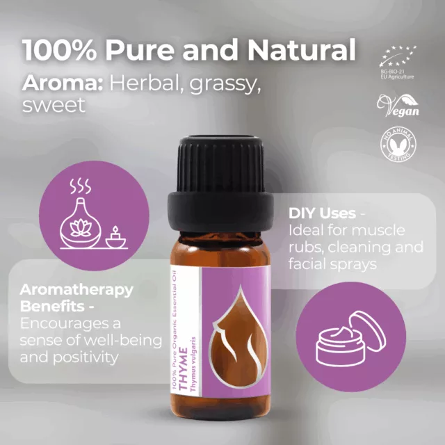 En thyme infographic 1