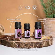 En vitality set infographic 2