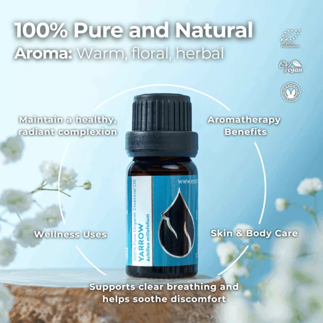 En yarrow infographic 1