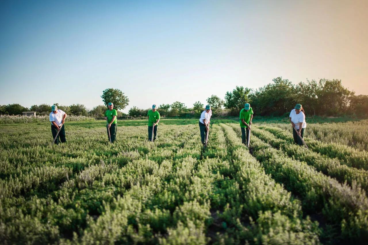 Екипът на Essences Bulgaria - 1