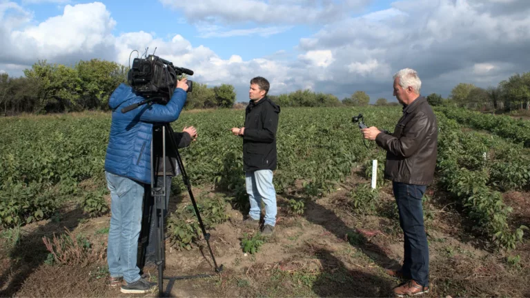 Essences bulgaria в предаването Бразди по БНТ