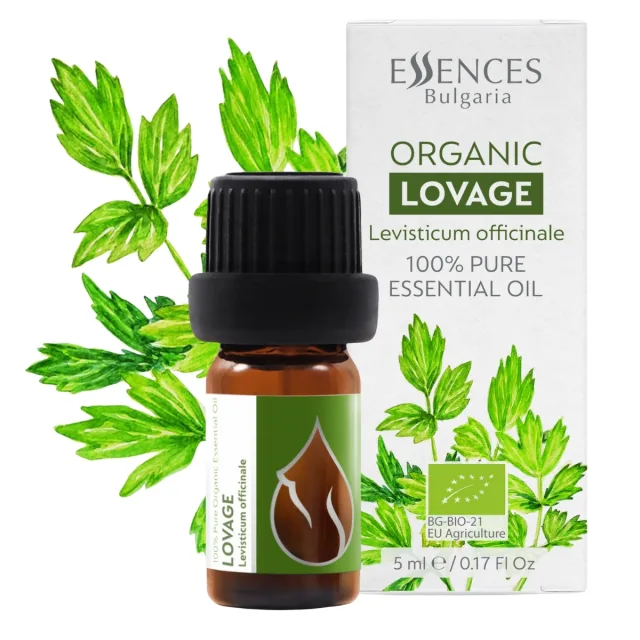 Organic Lovage Essential Oil