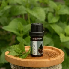Melissa essential oil