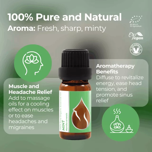 New en mint infographic 1