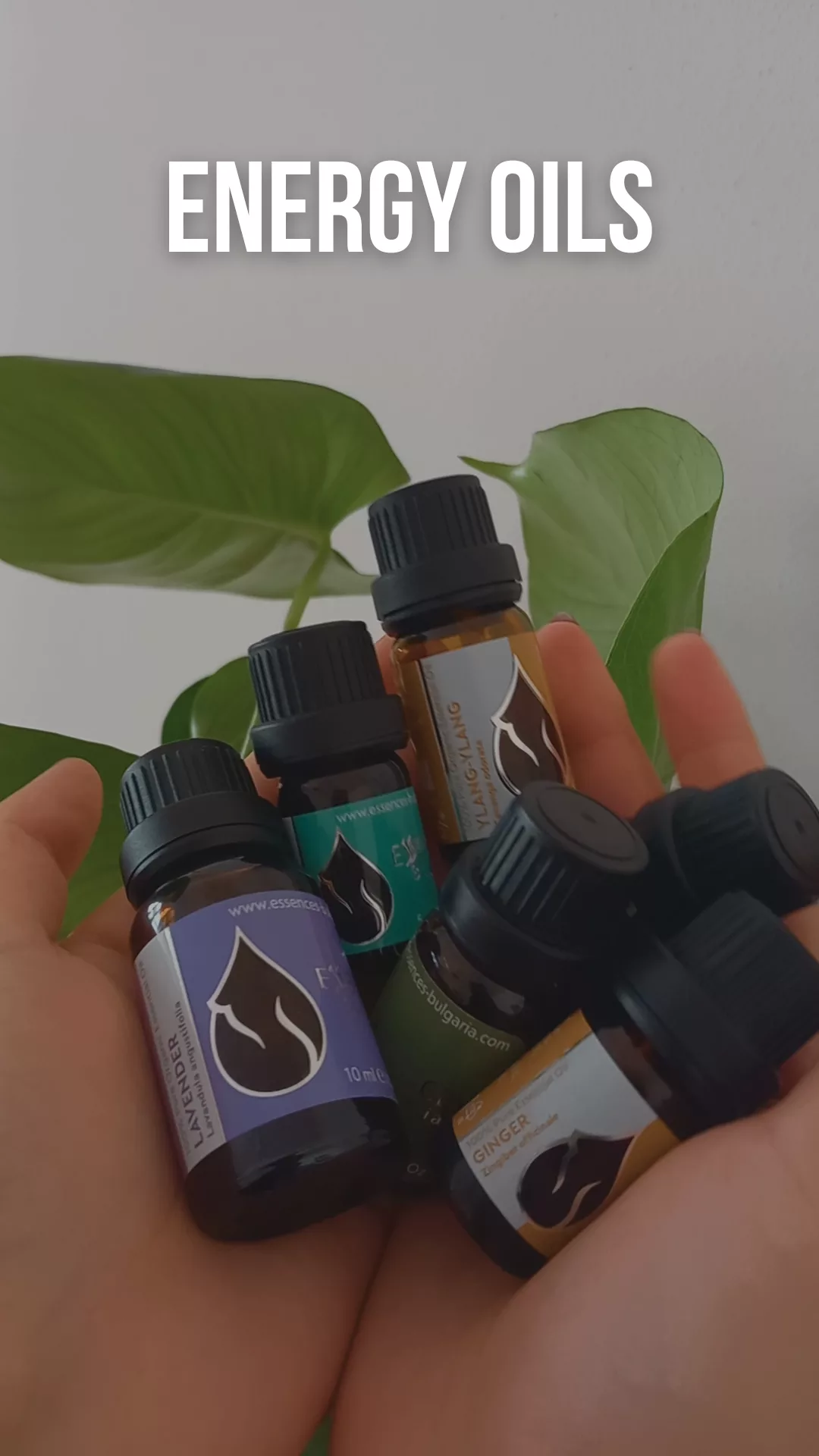 Oils to manifest